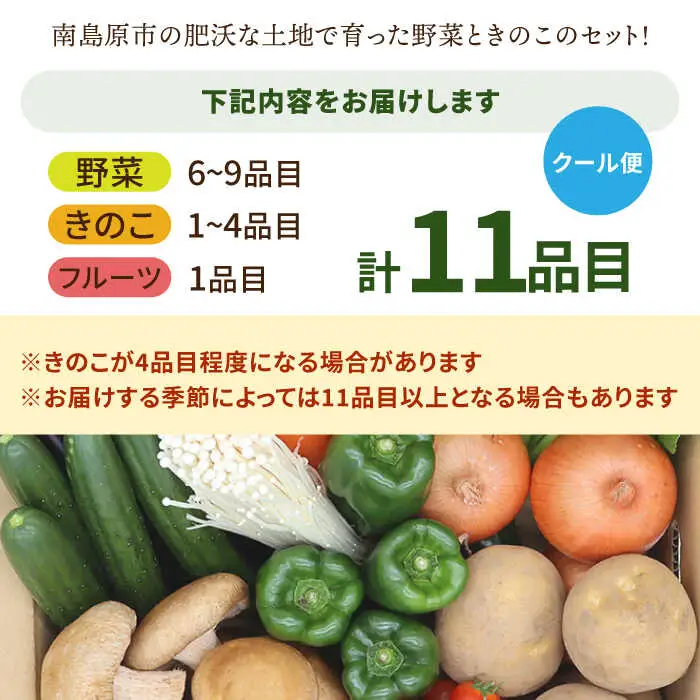新鮮 野菜 キノコ 果物 11品目 詰め合わせ / 野菜 やさい きのこ キノコ 詰め合わせ セット / 吉岡青果 / 南島原市 [SCZ004]