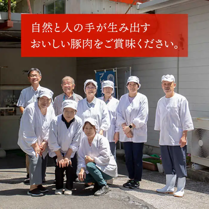 【3回定期便】SPF豚 やっちゃおいしか芳寿豚バラエティセット 計3000g / 豚肉 定期便 ほうじゅとん SPF豚 spfポーク 小分け バラ しゃぶしゃぶ / 南島原市 / 芳寿牧場 [SEI020]