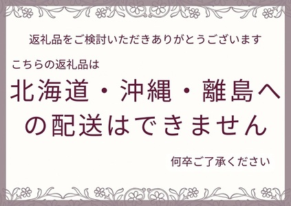 【ヴィンテージキャメル】アンティーク風 無垢材 アイアン オープンラック 3段＜Dea-Sirio＞ ラック