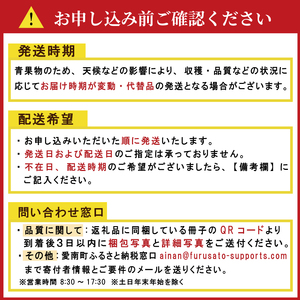 【先行予約】贈答品 愛媛みかん 3kg 傷み補償 250g 清家ばんかんビレッジ