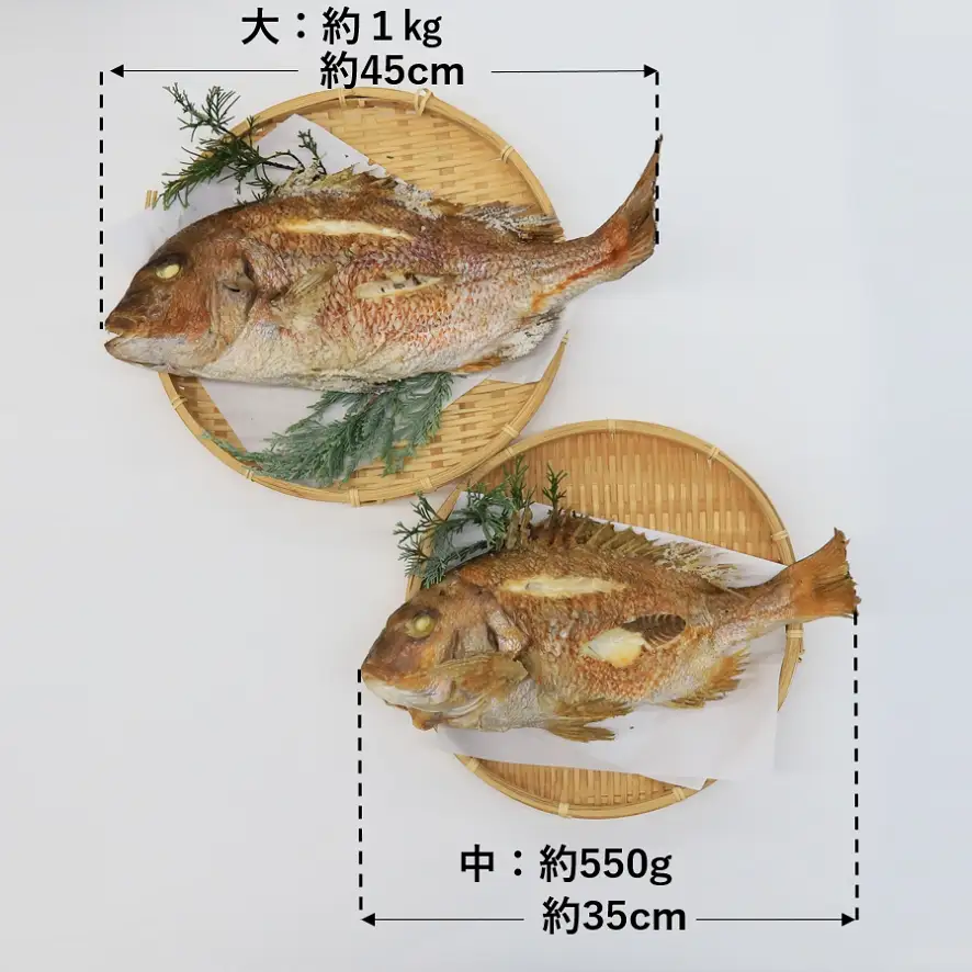 【尾頭付きの縁起物】 活塩焼き鯛（大サイズ） 1匹（約45㎝・約1kg）33-36