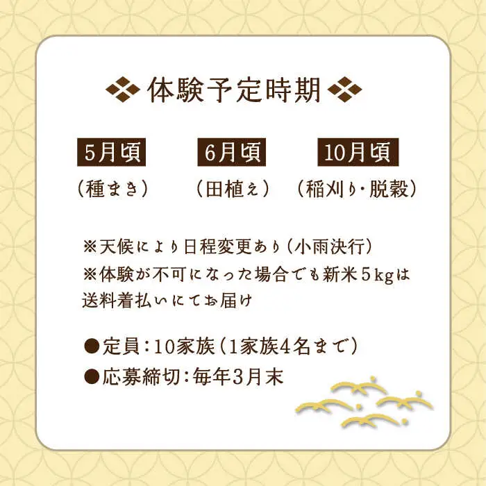 お米づくり 体験チケット 糸島市 / 天然パン工房楽楽【いとしまごころ】 [AVC065] 体験型 農業 食育