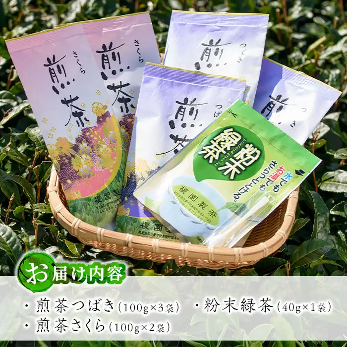 No.014 煎茶セット(雅)【世献 榎園製茶】