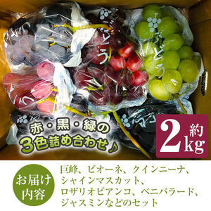 No.122 ぶどう特選3色セット(計約2.0kg・約6房) 国産 九州産 鹿児島県産 果物 フルーツ 葡萄 ブドウ 数量限定 ピオーネ シャインマスカット 詰合せ 詰め合わせ セット 食べ比べ【かんとりぃぱぁく】