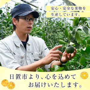 No.148 ＜先行予約受付中！2026年7月下旬から発送＞鹿児島県産 グリーンハウスみかん(計3kg) みかん ミカン 蜜柑 3kg 柑橘 果物 フルーツ 小ぶり 青果 果実 鹿児島 ギフト 贈答 プレゼント【黒川農園】