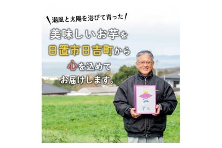 No.434 ＜先行予約受付中！＞鹿児島県産！特選紅はるか冷凍やきいも(500g×4袋・計2kg) 贈り物にも！栽培期間中農薬不使用 期間限定 数量限定 いも 芋 さつまいも サツマイモ 焼き芋 焼芋 スイーツ 冷凍 ギフト 贈答用【上原農園】