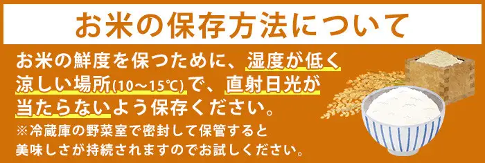 国産 鹿児島県産 ひおきのおこめ 無洗米 5kg No.598 正留産業