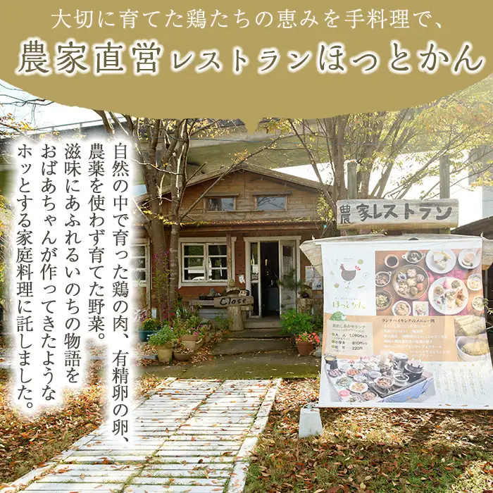 No.758 鹿児島の伝統料理、鶏飯6袋セット(250g×6袋・計1.5kg)【美山たまご王国】