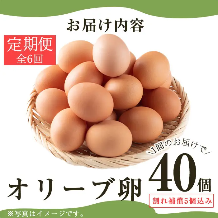 No.779 ＜定期便・全6回(連続)＞鹿児島県産美山オリーブ卵(40個×6ヶ月連続) 割れ保証付 国産 九州産 鹿児島県産 たまご タマゴ オリーブ 卵 鶏卵 生卵 おかず TKG 卵かけご飯 朝食 定期便 頒布会 数量限定【美山たまご王国】