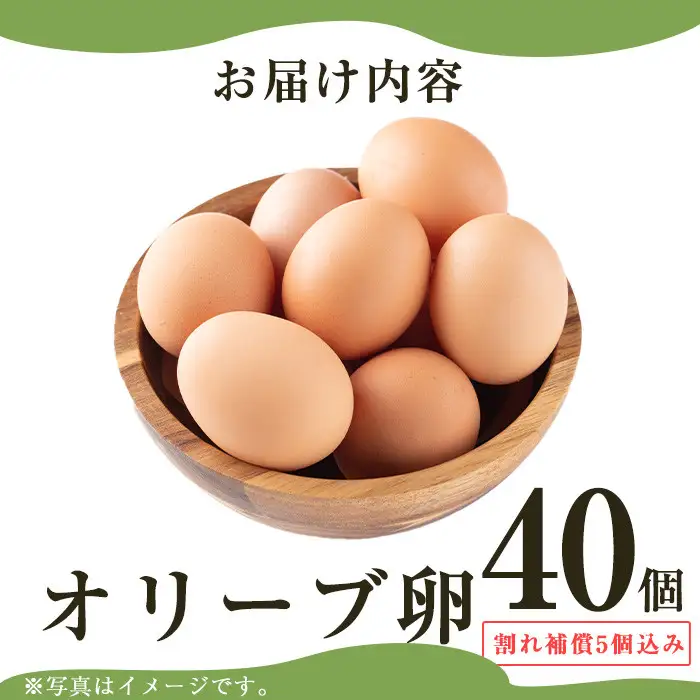 No.780 鹿児島県産美山オリーブ卵(40個) 割れ保証付 国産 九州産 鹿児島県産 たまご タマゴ オリーブ 卵 鶏卵 生卵 おかず TKG 卵かけご飯 朝食 数量限定【美山たまご王国】