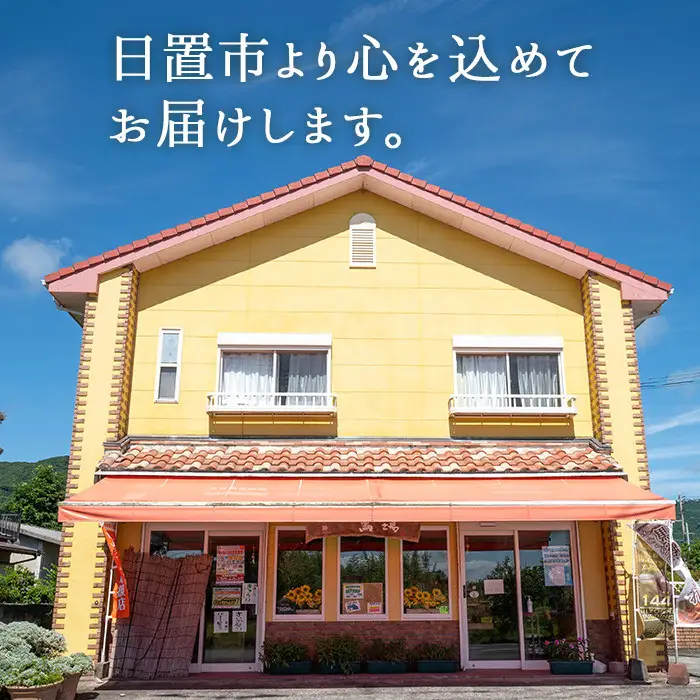 No.858 抹茶のプディング(8個)国産 プリン 菓子 お菓子 洋菓子 スイーツ お茶 抹茶 卵不使用 ギフト 贈答 セット バレンタイン ホワイトデー【おかし畑馬場】