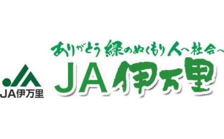 フルーツ定期便【10回便】彩 いちご もも  みかん等 10種類  B182