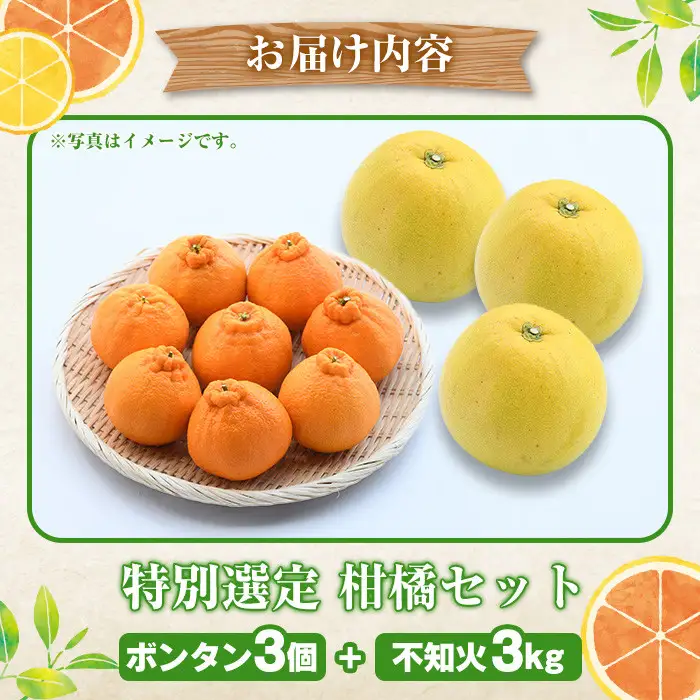 ＜先行予約受付中！2027年1月以降順次発送予定＞鹿児島県阿久根市産！特別選定 柑橘セット(ボンタン3個・不知火3kg) 国産 果物 フルーツ かんきつ ノーワックス【松永青果】akn053-26
