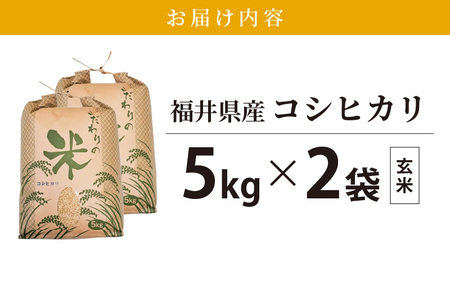  令和7年産 コシヒカリ 10kg 福井県産【玄米】【人気品種】 [e30-b014]