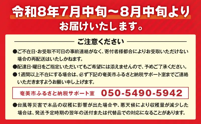 それいゆ マンゴー 2kg A006-015 それいゆマンゴー フルーツ トロピカル  事前受付 事前予約 ソレイユスマイルふるさと納税 奄美市 おすすめ ランキング プレゼント ギフト