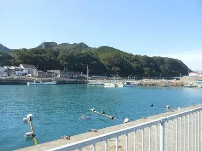 10月中旬以降発送 天然 伊勢海老１kg（サイズおまかせ高知県産）※着日指定不可※エビ 甲殻類 海鮮BBQ アウトドア キャンプ お祝い【R01671】