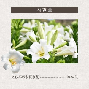 沖永良部島 で大切に育てられた えらぶユリ 切り花 10本入 W008-009u 雑貨 日用品 花