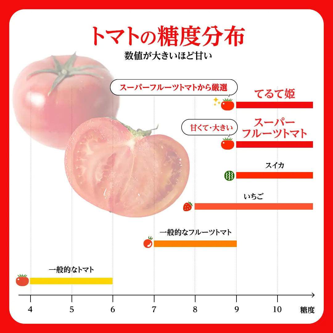 《 2027年 収穫分 》全3回 定期便 フルーツトマト 大箱 約2.6kg × 1箱 × 3回 糖度7度以上 先行予約 3ヶ月 茨城県 桜川市 KEK 国産 トマト ブランドトマト 野菜 ギフト 贈答 [BC053sa]
