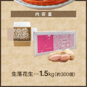 ■夏本番！珊瑚の島から贈り物！沖永良部島の赤土 生落花生1.5kg！【7月後半～9月上旬】 W045-001u 野菜 落花生