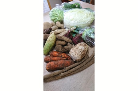 【3ヶ月定期便】とみずく農園の季節の野菜セット（7～8種類）