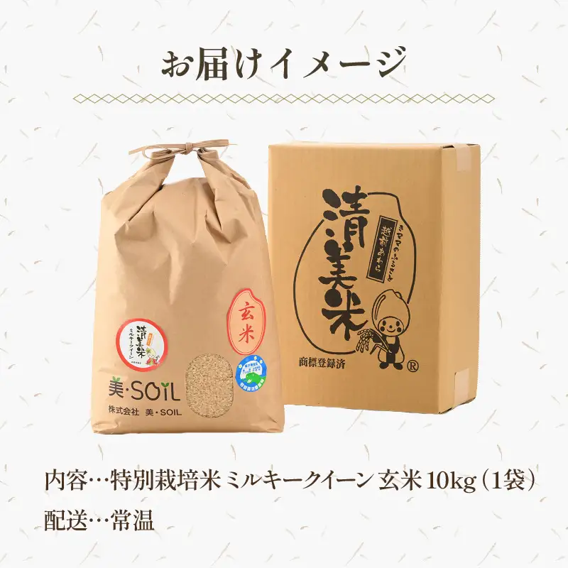 【令和8年産】ミルキークイーン 玄米 10kg 特別栽培米 低農薬 《食味値85点以上》 / 福井県 あわら市 北陸 米 お米 人気 [aw032-b007]