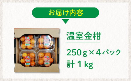 【先行予約】＜2026年発送＞温室金柑1kg 1箱（250g×4パック）_K001-025