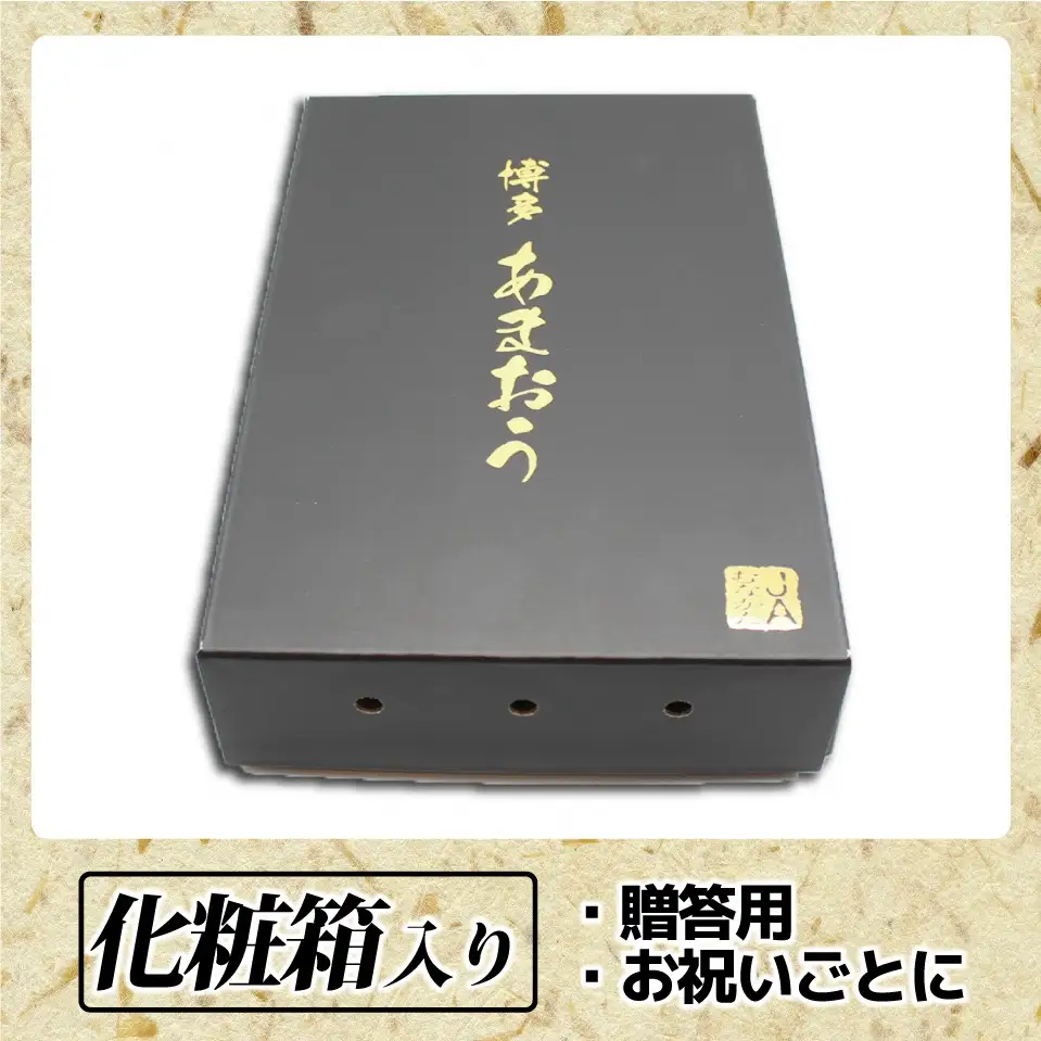 【先行予約】12月発送！「博多あまおう」EX　贈答用化粧箱　約450g 2箱【ほたるの里】_HA0755