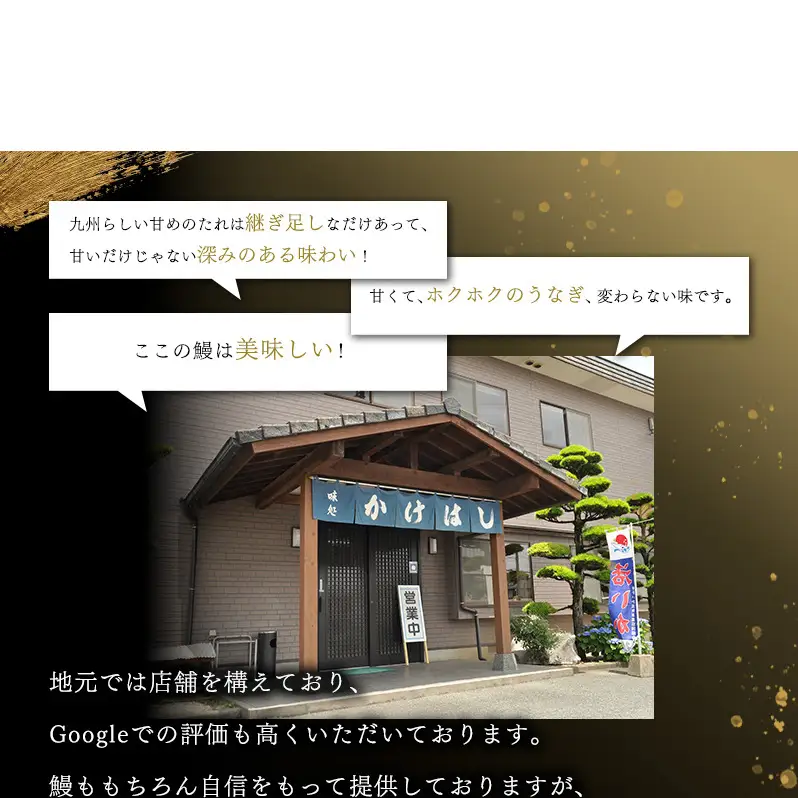 うなぎ 特大 国産 かけはし 蒲焼き・白焼き 備長炭焼き うなぎ【1尾 300〜400g】