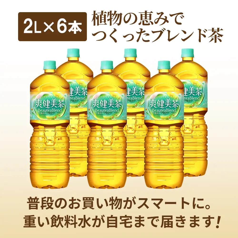 『定期便：全2回』爽健美茶2L×6本【38001902】