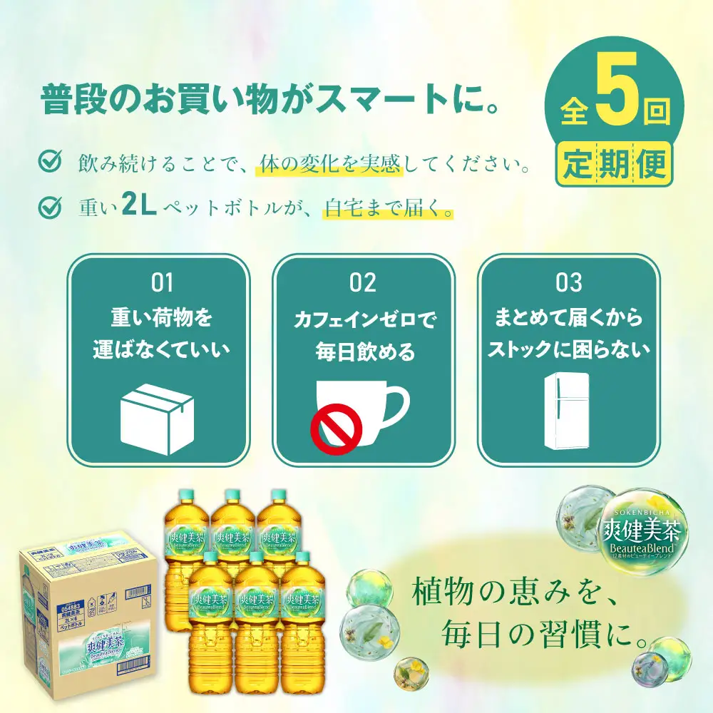 『定期便：全5回』爽健美茶2L×6本【38002102】