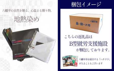 八幡平GEOCOLORペンケース（寒色系）【どれが届くかお楽しみ】 ／ 地熱染め 筆記具 筆記用具 大人 小物入れ 筆箱 ふでばこ ポーチ 筆入れ 手絞り 手染め 染物 染め物 お土産 ご当地 人気 おすすめ 色おまかせ 小物ケース 小物入れ ジオカラー