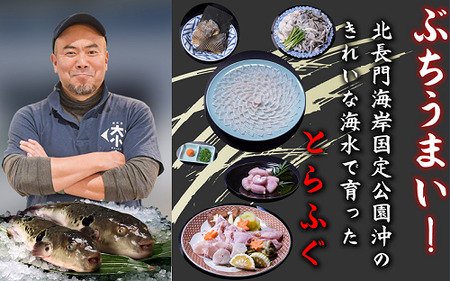 【配送日指定可】 ふぐ皮 ふぐ 河豚 フグ フグ皮 とらふぐ トラフグ てっぴ とらふぐ皮 皮刺身 大満足 セット 大容量 400ｇ 小分け 小分けパック 冷凍 急速冷凍 トラフグ フグ 最高級とらふぐ 父の日 母の日 イベント お中元 お歳暮 贈答用 ギフト 熨斗 のし 大人気 山口県 本場トラフグ 職人 板前 レシピ付き  (1089)