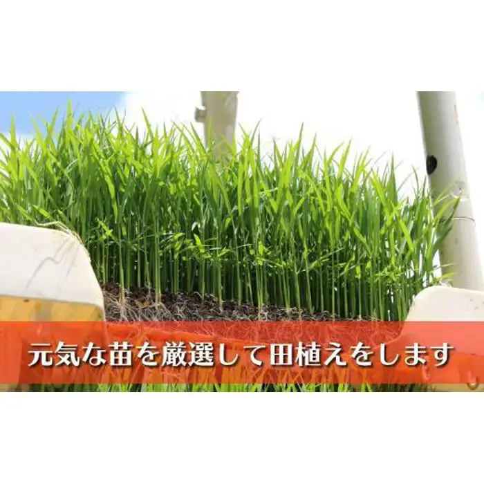 【令和8年新米予約】南魚沼産コシヒカリ　富三郎　特別栽培米　肥沃な大地と八海山の雪解け水が育んだ厳選米　無洗米５ｋｇ　|  特別栽培米【2026年10月中旬より順次発送予定】