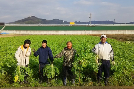 こんこん屋の季節の乾燥野菜セット ke-0002