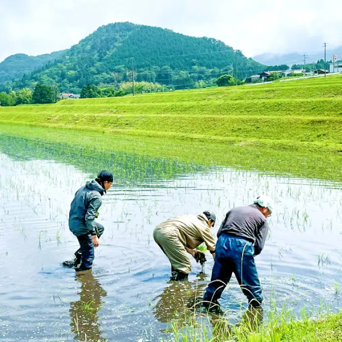 三瓶の米粉（さんべ浮布米100％）400g×8袋【米粉 コシヒカリ 400g×8袋 島根県産 大田市産 お米 米 さんべ浮布米 こしひかり グルテンフリー ヘルシー】