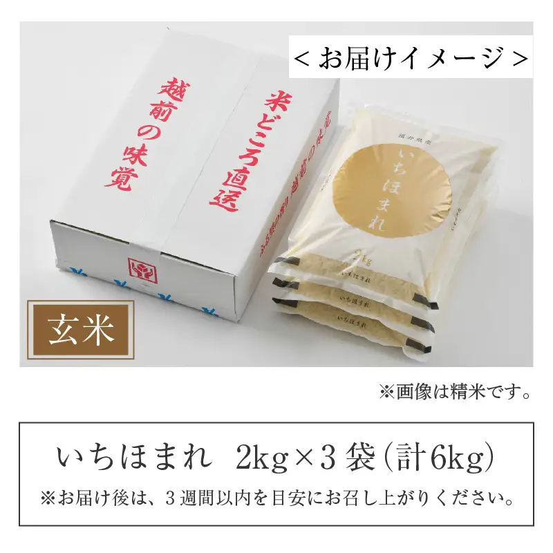 【令和6年産】いちほまれ 玄米 2kg×3袋（計6kg）《新鮮な高品質米をお届け！》／ 福井県産 ブランド米 ご飯 [aw064-a006]