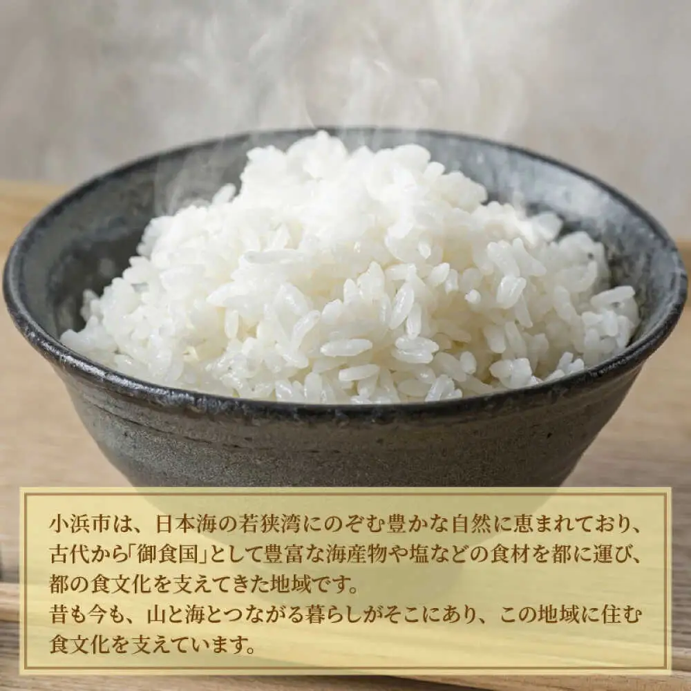 【 先行予約 /10月以降配送】【令和7年産】福井県産コシヒカリ「千石」 10kg 小浜市 / 千石の郷  [BFCA001]