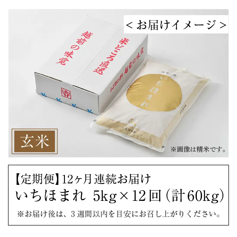 【令和8年産 新米】定期便12回 いちほまれ 玄米 5kg×12回（計60kg）《新鮮な高品質米をお届け！》／ 福井県産 ブランド米 ご飯 [aw064-k006]