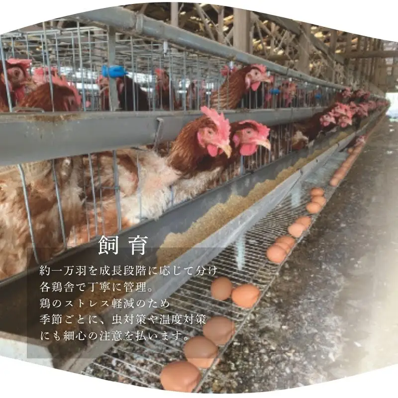 卵 【二黄卵3個以上入り】産みたて新鮮卵 30個入り※沖縄・離島への配送不可【aubless003】
