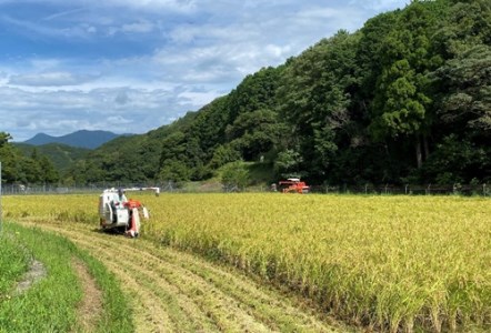 「道行竈のお米」R5年度産　コシヒカリ　10kg／平家の子孫が住む自然豊かな竈方集落　伊勢志摩　三重　南伊勢