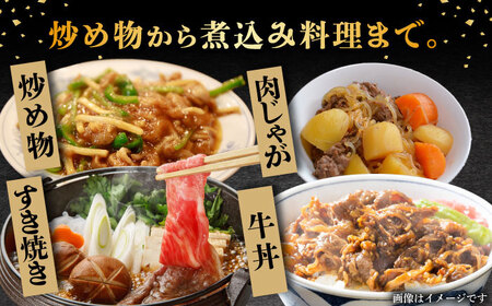 【6回定期便】【飛騨牛】A5等級切り落とし 500g [TAZ013] すき焼き
