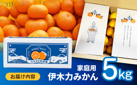【10月下旬から発送】伊木力みかん 5kg ご家庭用【AHCF002】みかん