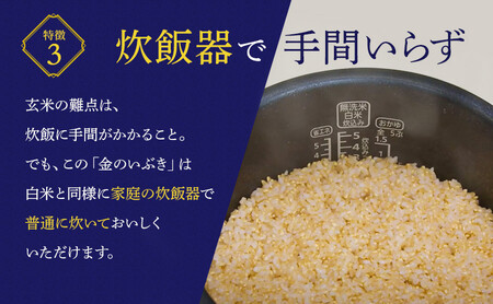 お米 玄米 金のいぶき 玄米 10kg | 米 お米 こめ 玄米 ブランド米 ブランド玄米 人気 玄米食 食物繊維 涌谷町産玄米 ※2024年11月上旬頃より順次発送予定 【aubless019】