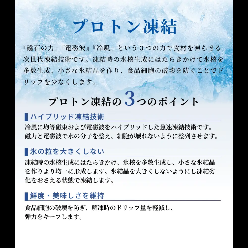 約1200g肩ロース肉すき焼き　氷温（R）熟成　飛騨牛A5等級 プロトン凍結 [No.531]