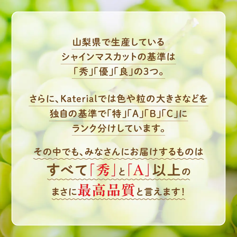 フルーツ 山梨 旬のフルーツ定期便（2回コース）桃 シャインマスカット