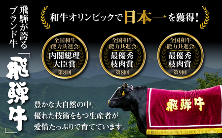 白川郷 飛騨牛 もも ステーキ 180g×2枚 牛肉 赤身 ステーキ [S333]