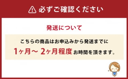 【レビューから開発】 倉敷産帆布 トートバッグ A4すっぽり ポケット充実！【キャメル】◇