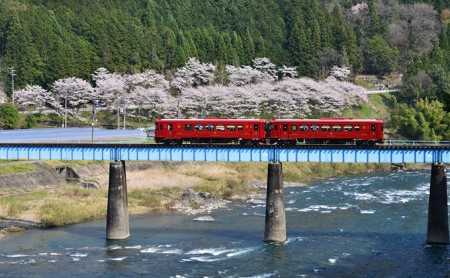 観光列車予約券 ながら スイーツプラン 長良川鉄道 観光列車予約券【シングル】【先行予約】