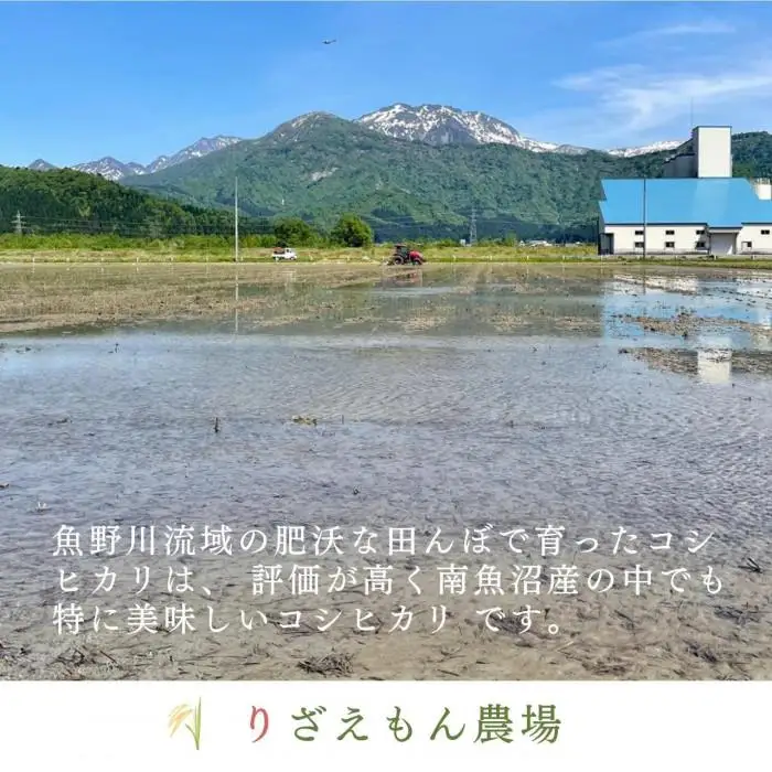 《令和8年産　新米予約受付》【定期便5回×2kg《合計10kg》】南魚沼産コシヒカリ　白米2kg＼生産農家直送／【2026年10月上旬より順次発送予定】