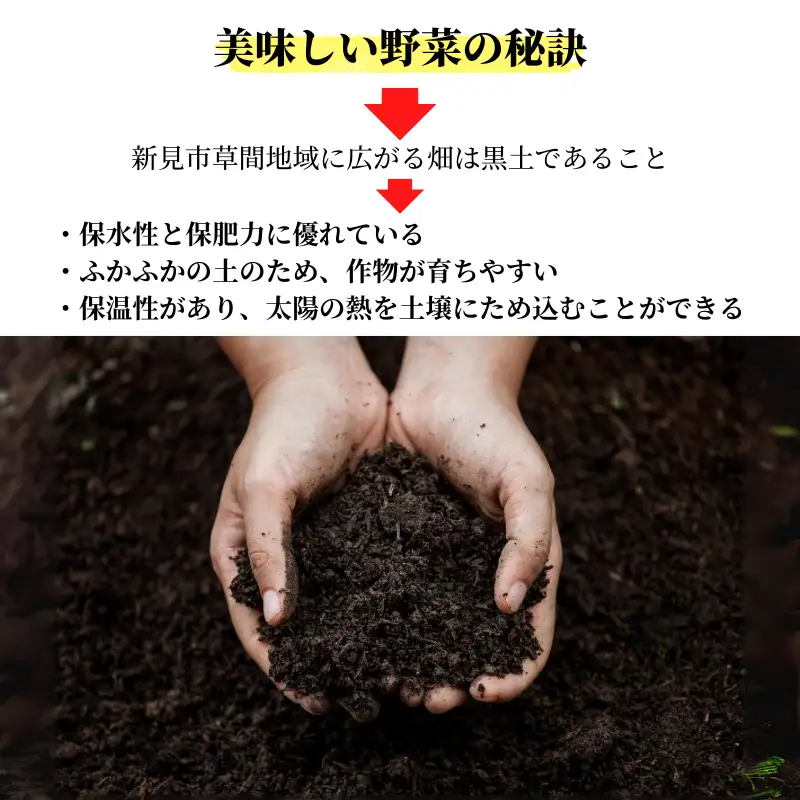 新見市産 冬の野菜詰め合わせセット【11月中旬～1月中旬発送】